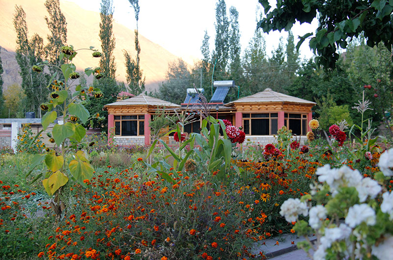 Uley Eco Resort- Standard Cottages-1